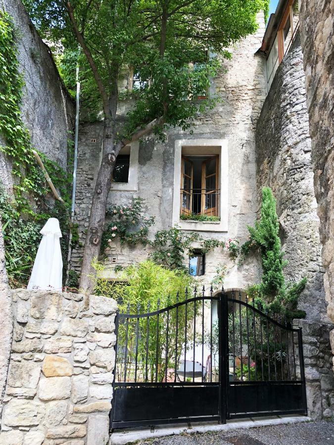 Villa Authentique Et Architecturale - Centre Ville Forcalquier Exterior foto
